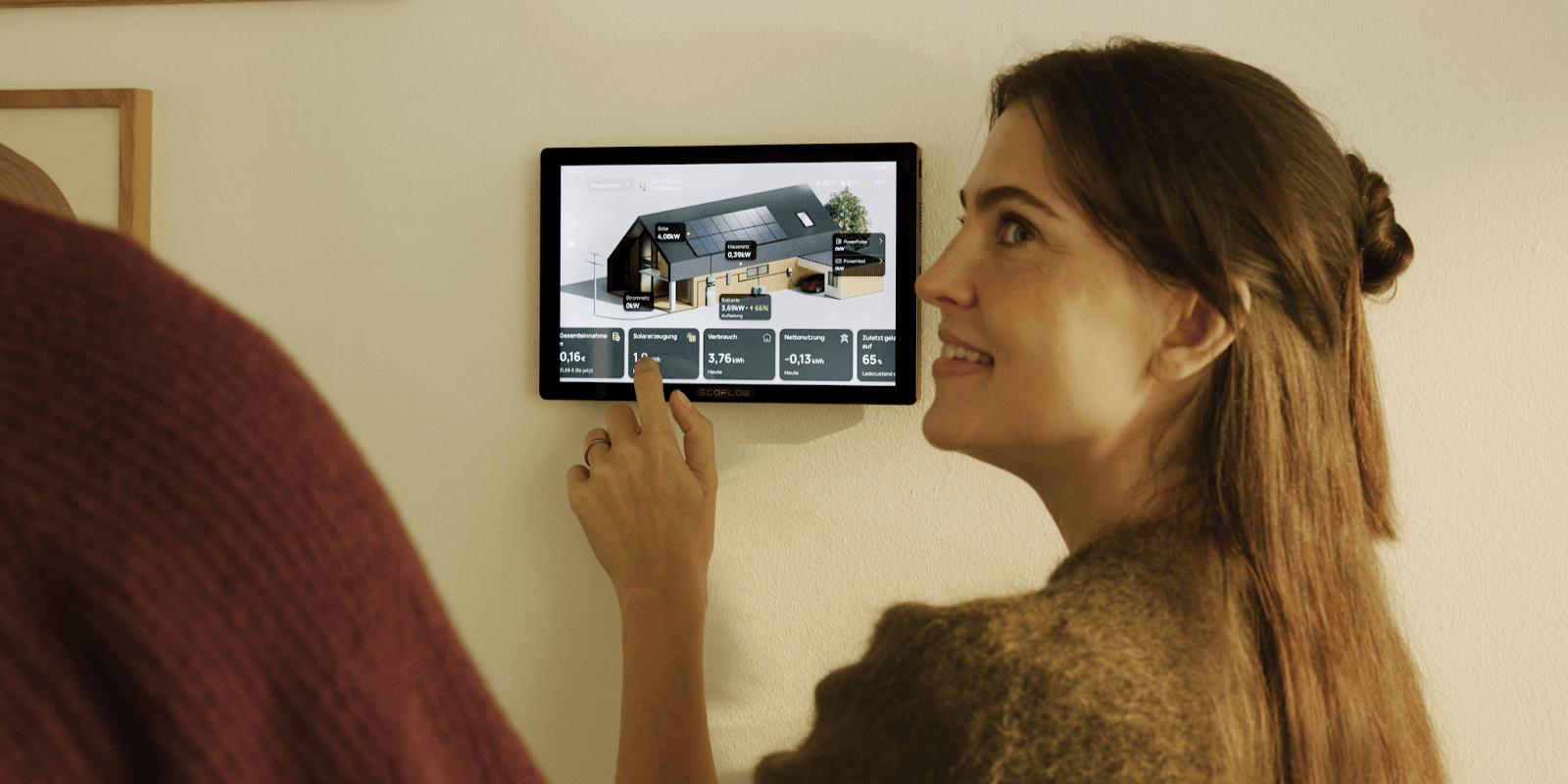 EcoFlow PowerInsight 2